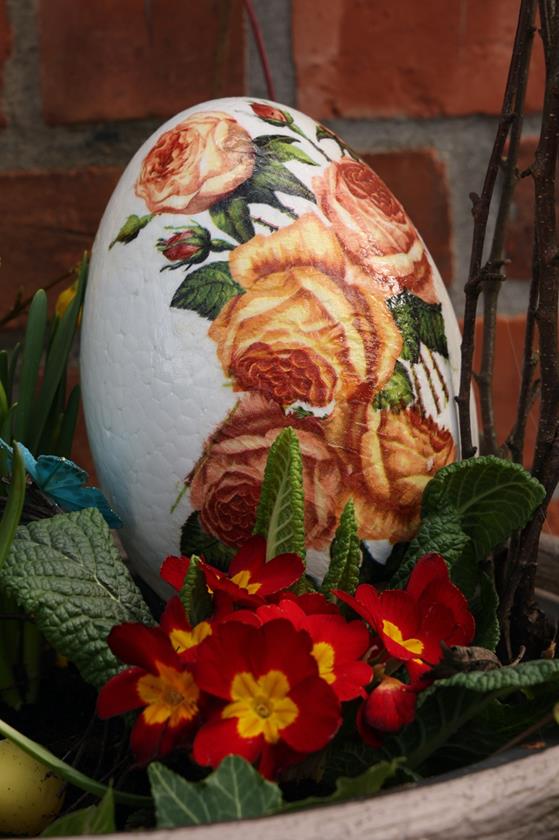 20260403 0001 Duży.jpeg