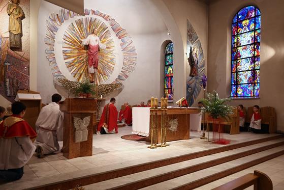 20260329 0042 Duży.jpeg