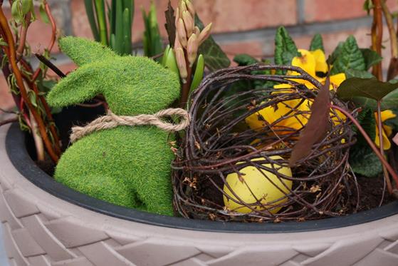 20260402 0039 Duży.jpeg