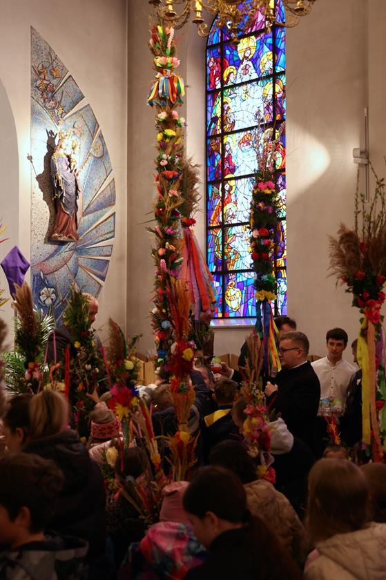 20260329 0101 Duży.jpeg