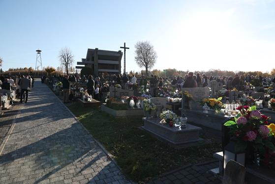 20251101 0040 Duży.jpeg