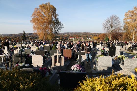 20251101 0053 Duży.jpeg