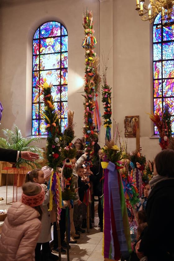 20260329 0098 Duży.jpeg