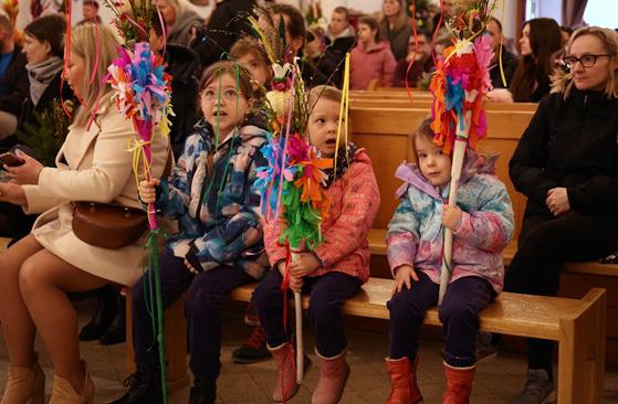 20260329 0092 Duży.jpeg